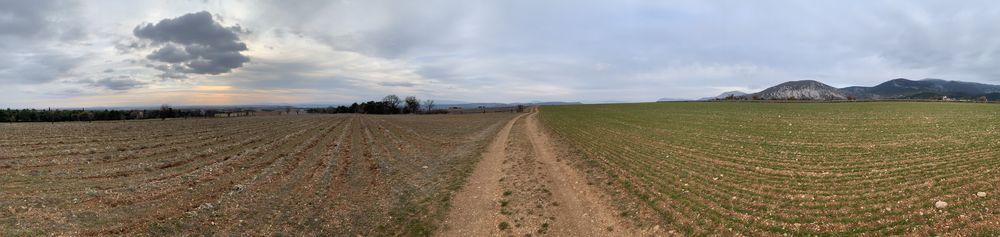 Panoramique des champs de lavande de la ferme Vauvenière à Saint-Jurs, dans les Alpes-de-Haute-Provence, le 2 mars 2022 ©Odhràn Dunne