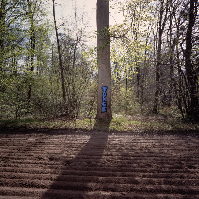 Benjamin Béchet - Qui sauvera la forêt française ?
