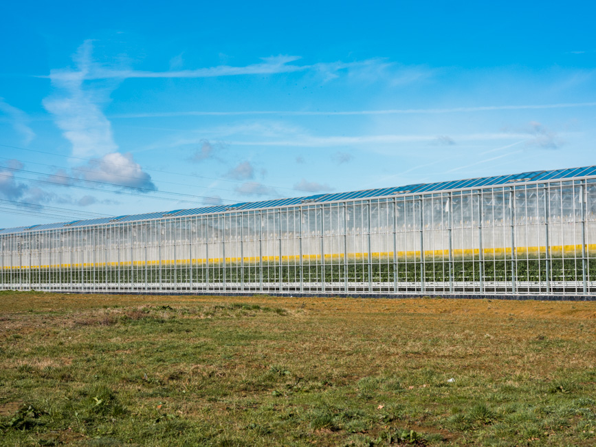 Julien Goldstein - Entrée, plat, dessert, Nourrir 10 milliards d’humains en 2050