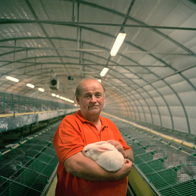 Denis Dailleux - Suicides en terre agricole