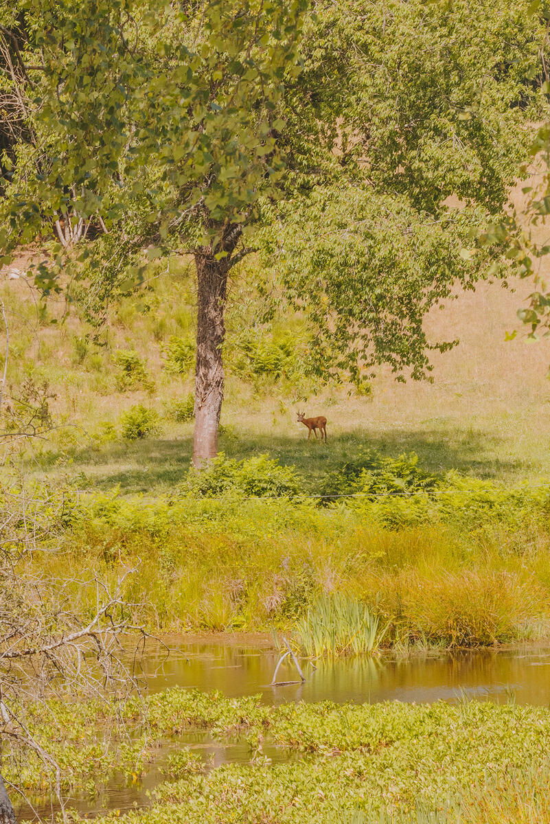 Letizia LE FUR - Mines de rien