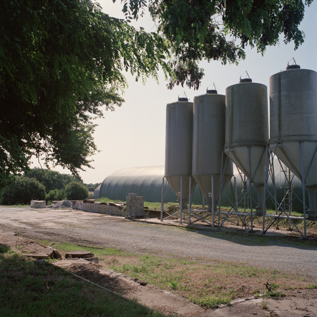Denis Dailleux - Suicides en terre agricole