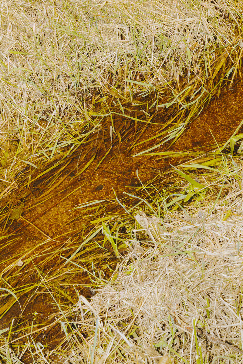 Letizia LE FUR - Mines de rien