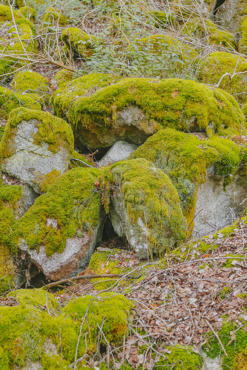 Letizia LE FUR - Mines de rien