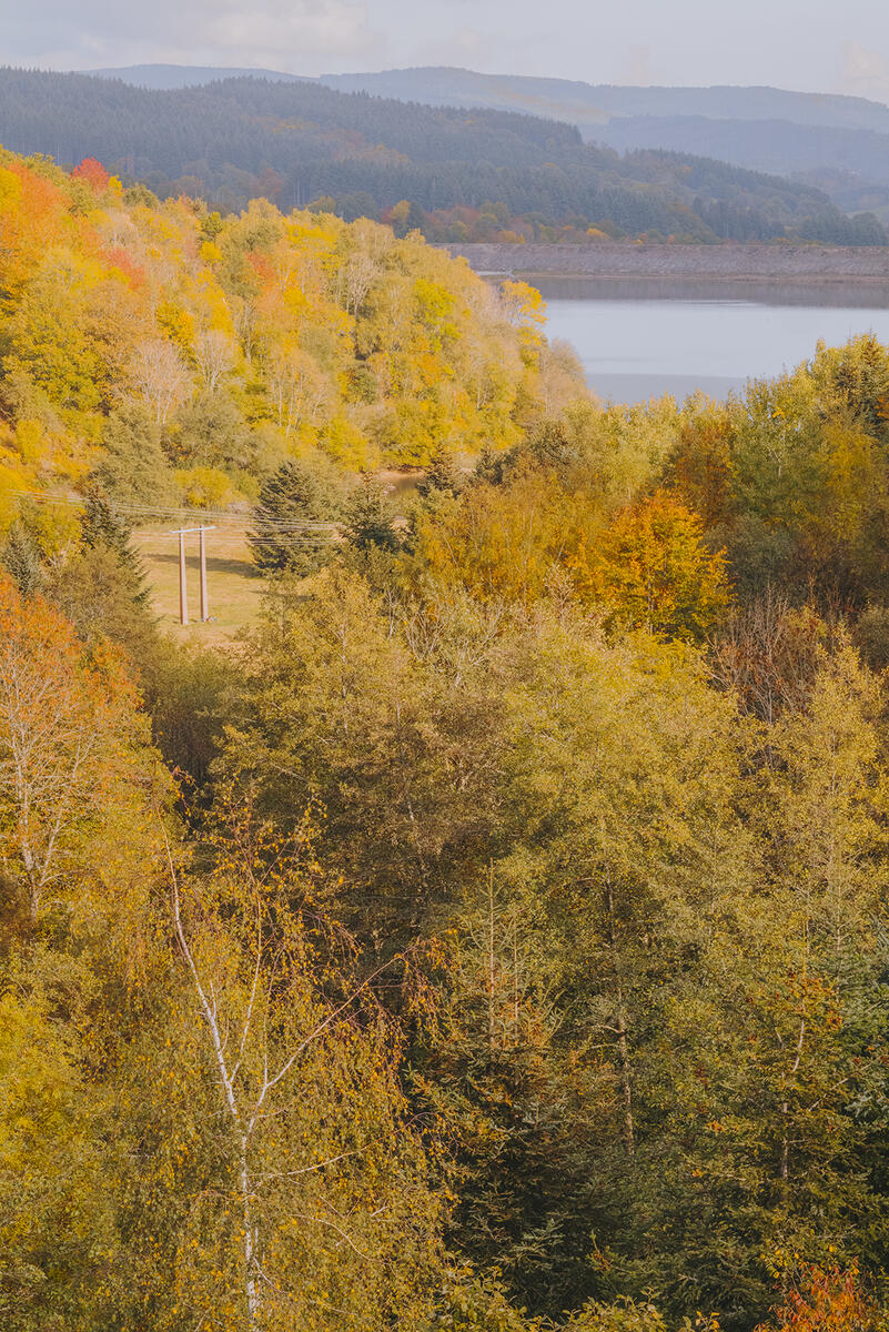 Letizia LE FUR - Mines de rien