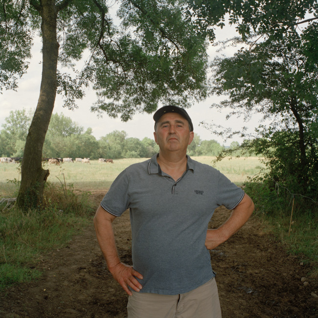 Denis Dailleux - Suicides en terre agricole