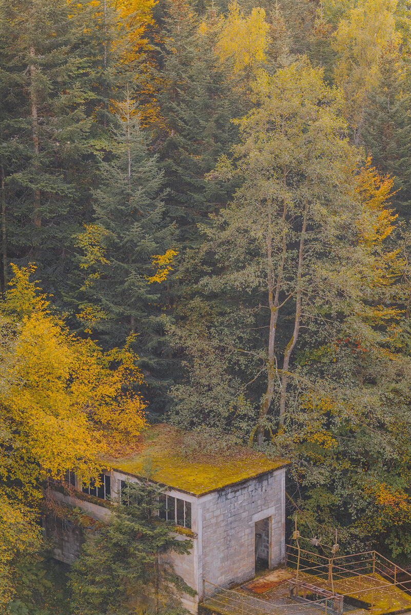 Letizia LE FUR - Mines de rien