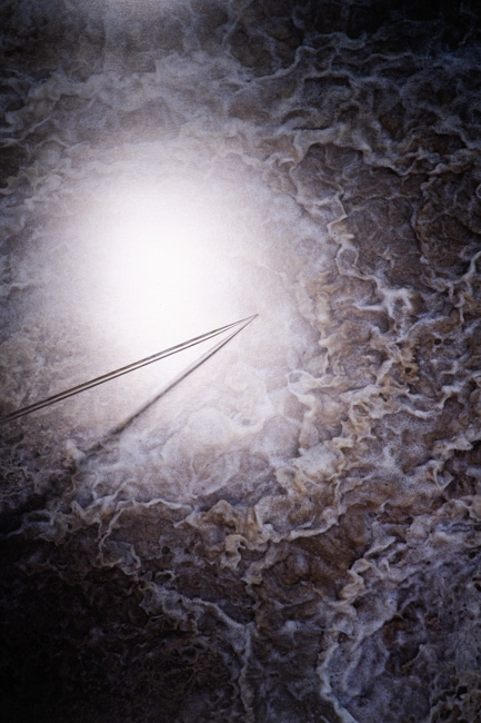 Sarah Ritter - De l’extraction, un port français