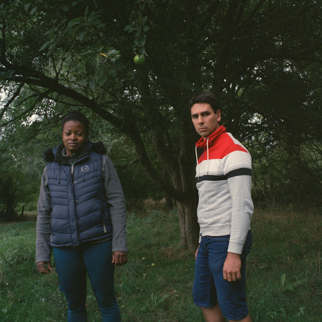 Denis Dailleux - Suicides en terre agricole