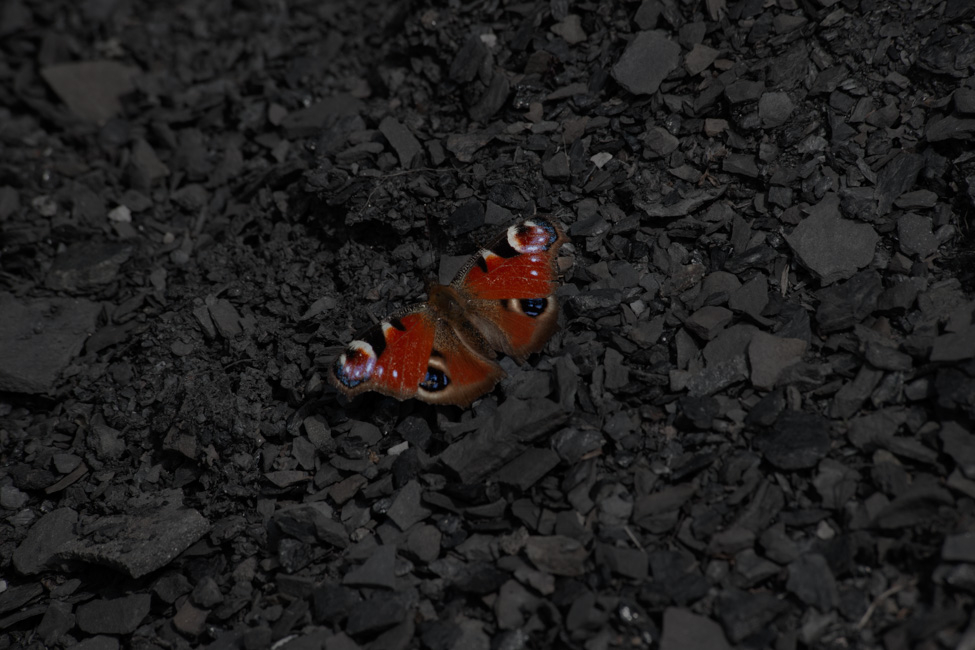 Jean-Michel André - À bout de souffle