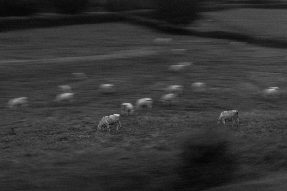 Olivier Laban-Mattei - Les sentinelles de la terre ou la nouvelle paysannerie en France