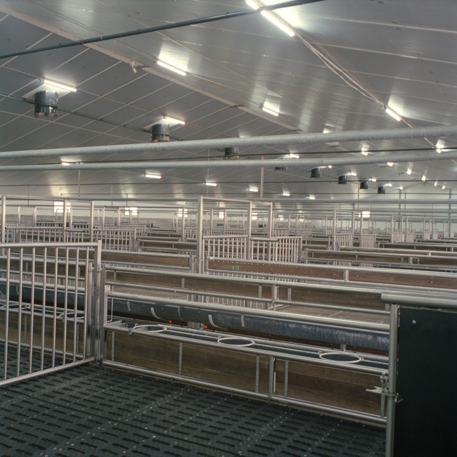 Denis Dailleux - Suicides en terre agricole