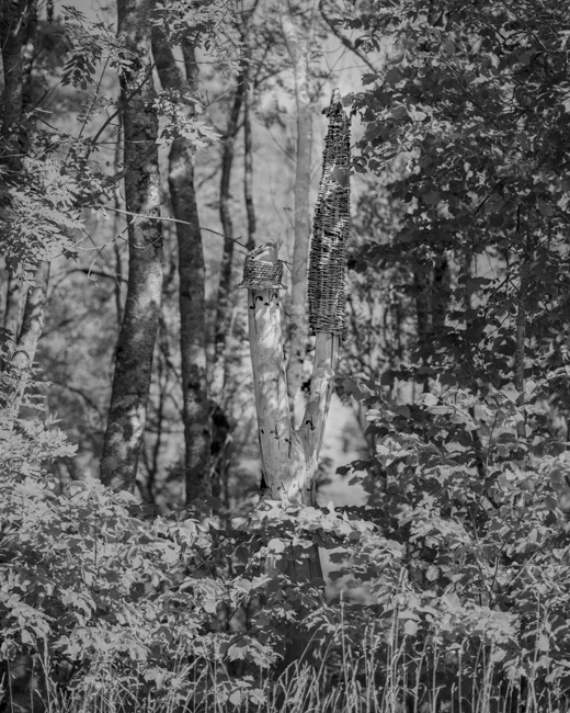 Jean-Robert Dantou - Tenir