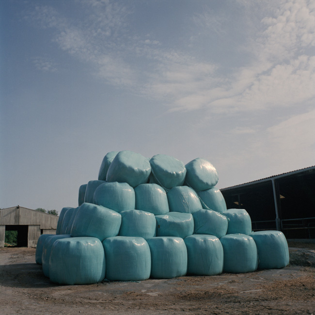 Denis Dailleux - Suicides en terre agricole