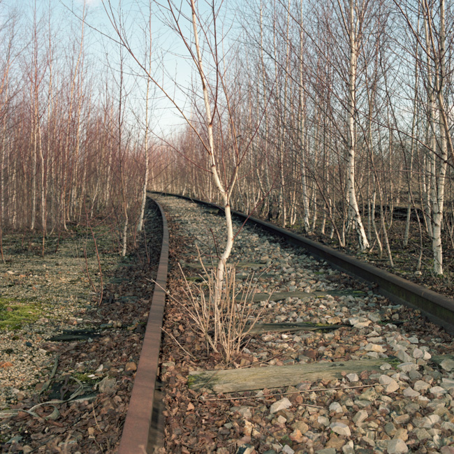David Godichaud - Les neiges éternelles