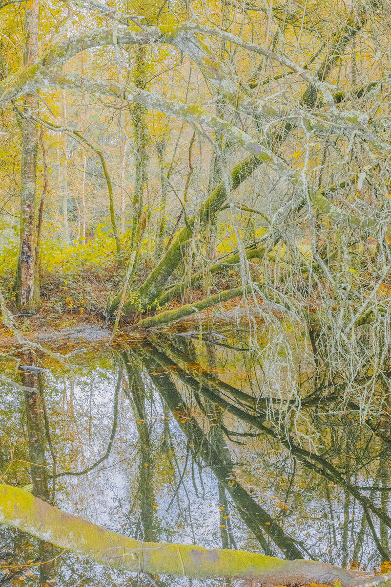 Letizia LE FUR - Mines de rien